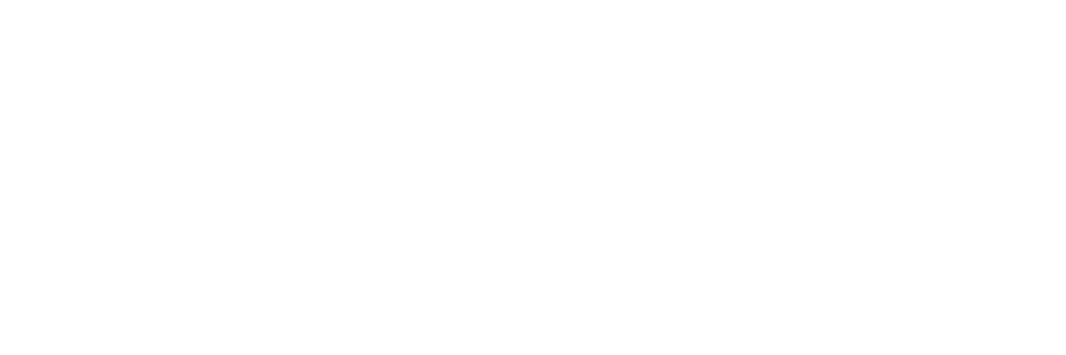 Bitsmith-Logo-white